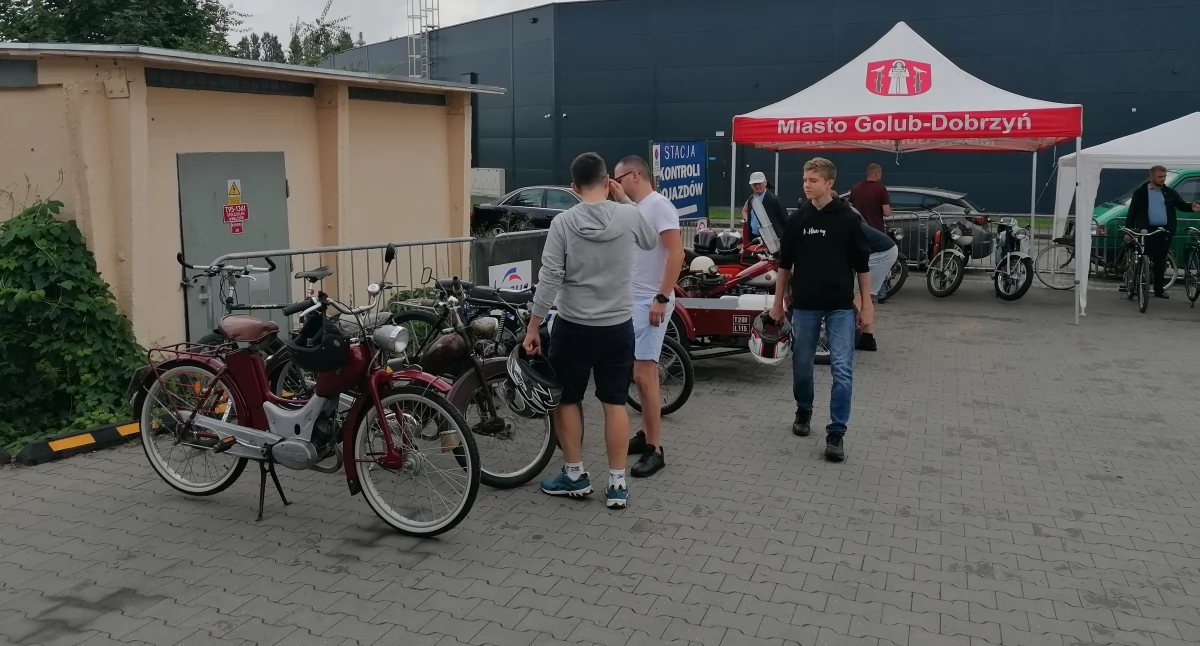 Komar nie gryzie