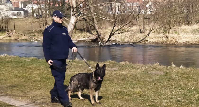 Policjanci przeprowadzają coraz więcej kontroli w mieście