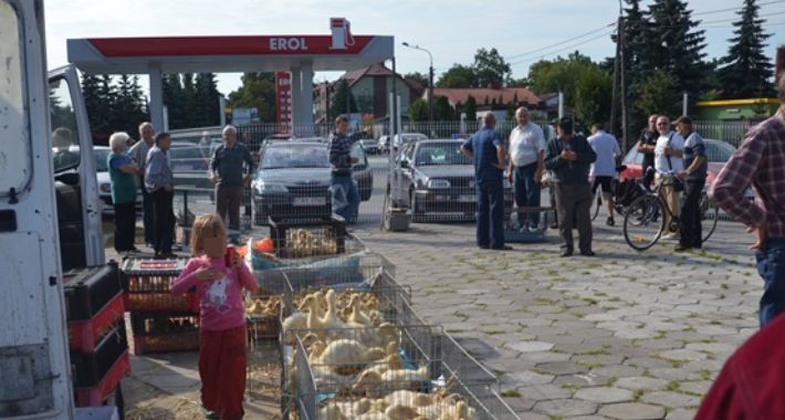 Nowa opłata targowa oburzyła sprzedających