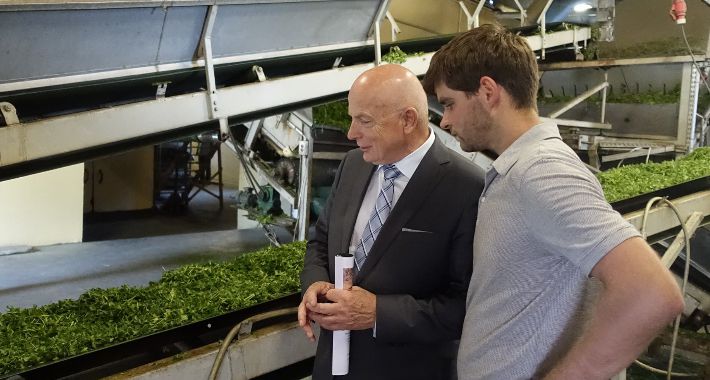 Aktywne działanie  na PROWadzenie!