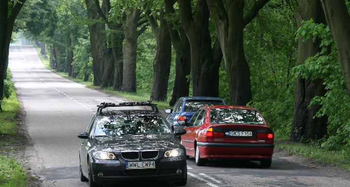 Wytną drzewa