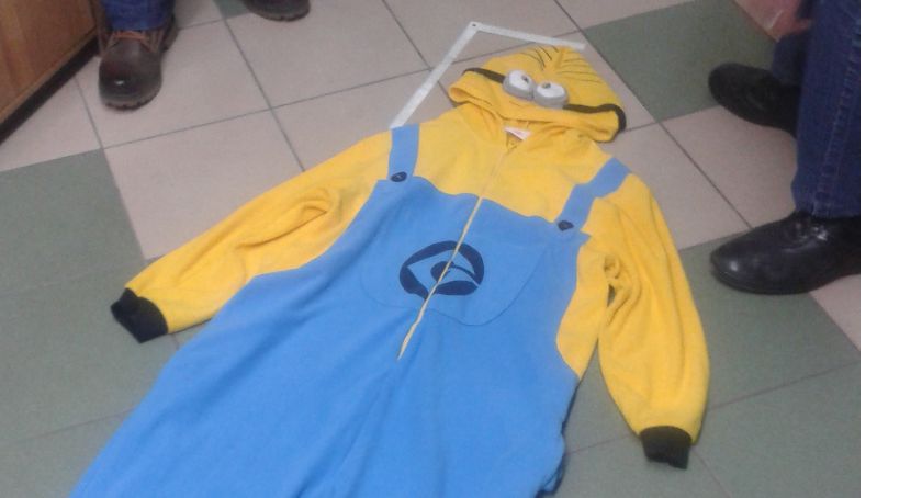 Minionek włamywacz