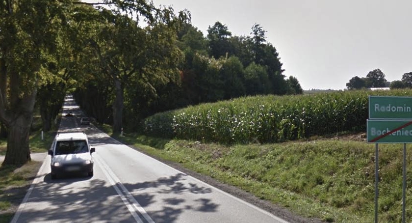 Zamkną drogę dla ochrony owada