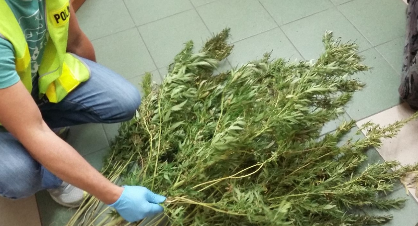 Mini plantacja zamiast kwiatów