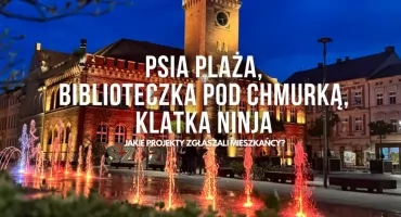 Plaża dla psów i inne nietuzinkowe pomysły. Budżet Obywatelski 2026