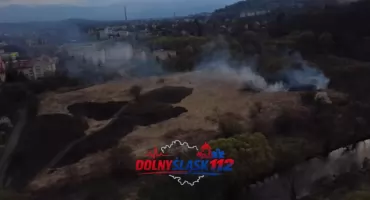 Kolejny pożar traw w Jeleniej Górze. Interweniowała straż pożarna