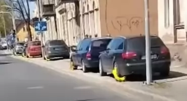 Mandat, mandat, mandat. Jeleniogórska straż miejska w swoim żywiole
