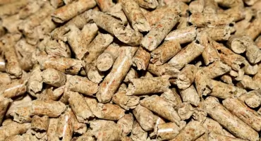 Kocioł na pellet czy pompa ciepła? Porównanie urządzeń objętych dofinansowaniem w programie Czyste Powietrze