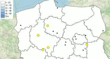 Policyjna mapa śmiertelnych wypadków wróciła na wakacje. Każdy punkt to ludzka tragedia