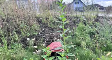 Nielegalny przepust pod drogą?