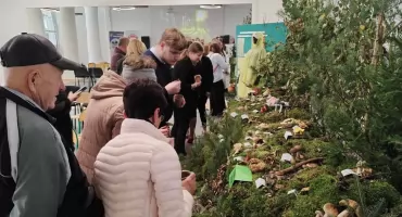 Poznaj grzyby – unikniesz zatrucia – wystawa edukacyjna w Przasnyszu już otwarta!