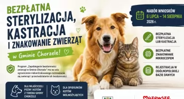 Darmowa sterylizacja i czipowanie zwierząt w gminie Chorzele. Nabór rusza już 6 lipca