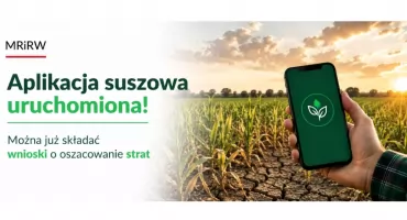 Ruszyła aplikacja suszowa. Rolnicy mogą już składać wnioski o oszacowanie strat