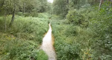 Kozi Bród – rzeka, która znika i powraca