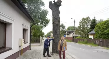 Mieszkańcy Niedzielisk protestują przeciwko wycince drzew