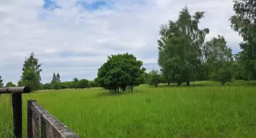 Urząd odpowiada, że kolejne spotkania konsultacyjne mają się odbyć w godzinach popołudniowych