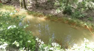 Rzeka Żeleźnica w Jaworznie 