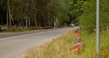 Kto podjął decyzję o ułożeniu kłód przy Sosinie? Urzędnicy nabrali wody w usta. MZDiM Jaworzno: Filozofowanie i dociekanie nie należą do naszych zadań