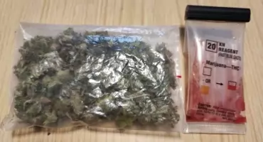 Nerwowa reakcja zdradziła go. Nocny spacer zakończył się zarzutem