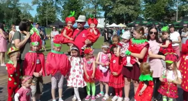 Święto Truskawki z bogatym programem występów