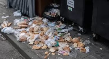 Pieczywo na śmietniku - smutny obraz codzienności