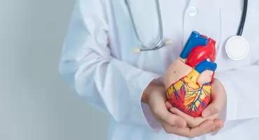 Jak skutecznie dbać o zdrowie układu krążenia na co dzień?     