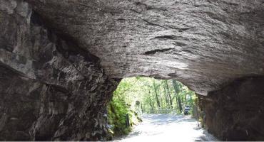 Skalny Tunel - Michałowice