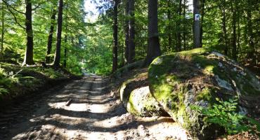 Cicha Dolina – malownicze miejsce w Karkonoszach