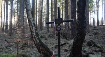 Grób lotników w Borowicach - Przerwany lot ku wolności
