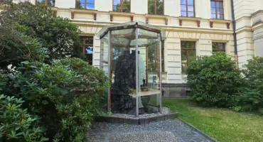 Przed szkołą w Żytawie stoi drzewo sprzed 25 milionów lat. Wydobywali je uczniowie.