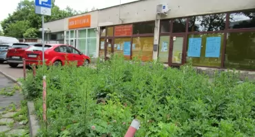 Punkty wsparcia, poradnie, i opieka społeczna na Ochocie w odwrocie
