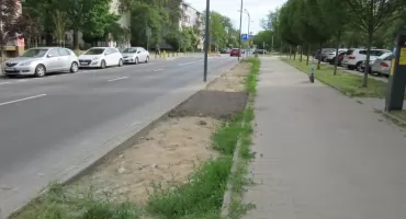 Problem z trawniczkiem