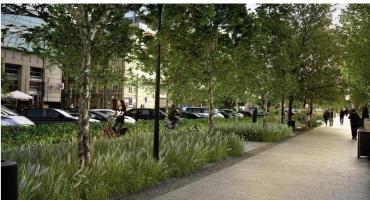 Zielona Grójecka - nowe nasadzenia na Szczęliwicach (nr 664)