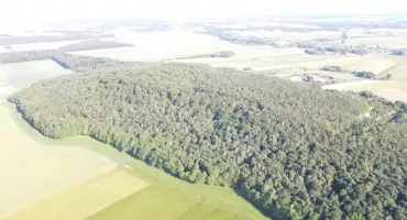 W ciągu dwóch dekad liczba mieszkańców gminy Masłowice spadła o ponad 12%. Dane demograficzne pokazują niekorzystny bilans urodzeń i zgonów oraz ujemne saldo migracji