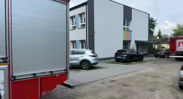 Szerszenie założyły gniazdo na placu zabaw przy szkole. Wezwano strażaków