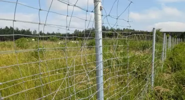 Uwaga choroba, przejścia (dla zwierząt) nie ma. A kosztowało 25 milionów złotych