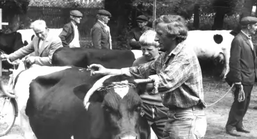 Kubacki go dopędził i zadał mu zakrzywionemi widłami kilka ciosów w głowę [Historia Gazetą pisana] 
