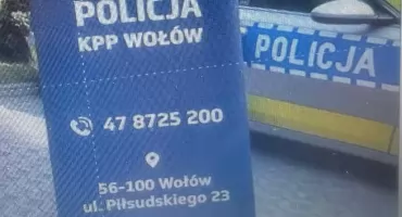 Dostałeś SMS-a od ZUS z linkiem? Nie klikaj! Rzeczniczka ostrzega przed nową falą oszustw