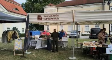 Święto lokalnych inicjatyw w Brzegu Dolnym! Poznaj siłę trzeciego sektora w Krainie Łęgów Odrzańskich