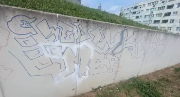Kto zniszczył nową bibliotekę TAMA? Policja szuka autorów napisów i graffiti