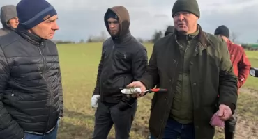Lokalne doświadczenia technologii siewu punktowego Väderstad Proceed w Paluzach