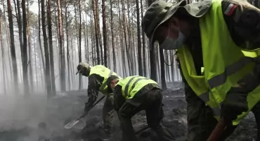 Terytorialsi z Siedlec ruszyli do walki z pożarami. W akcji blisko 100 żołnierzy