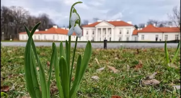 Uniwersytet w Siedlcach na 59. miejscu w Rankingu Uczelni Wyższych Work & Science Forum 2026