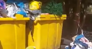 Śmietnikowy koszmar w Siedlcach! Czytelnik wysłał filmik