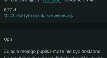 Kupię, sprzedam, wyśmieję. Dzieci wyceniają i wystawiają rówieśników na sprzedaż. Szokująca nowa twarz cyberprzemocy