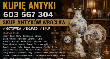 Skup antyków we Wrocławiu. Gotówka od ręki i dojazd do klienta